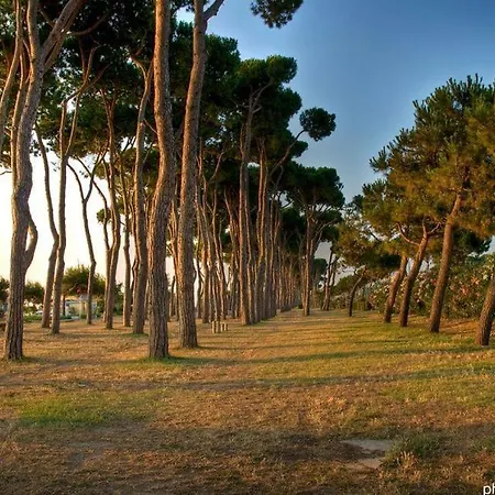 Bay A12 - Apartment Pineto